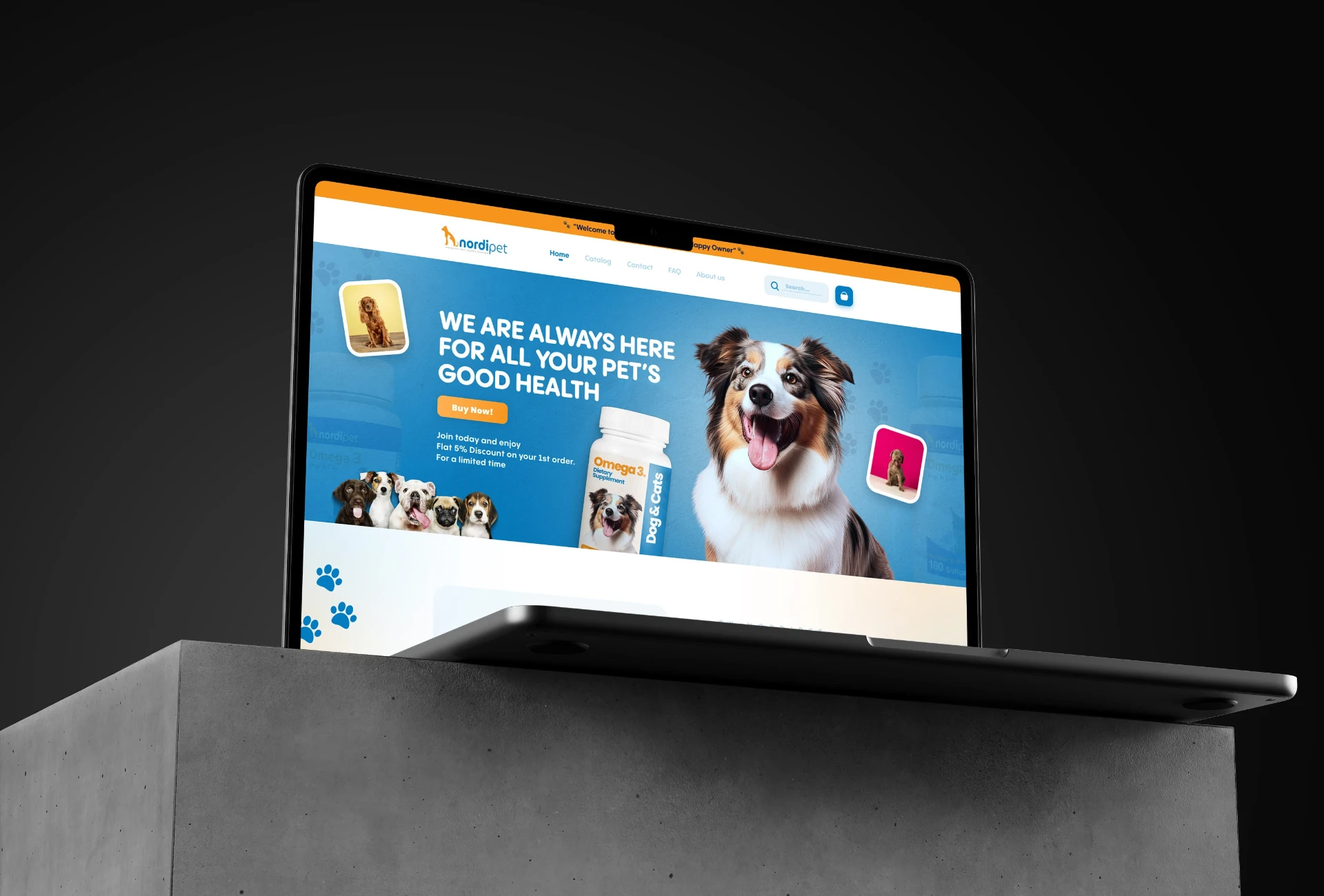 NORDIPET — PET ECOMMERCE STORE — UI / UX design