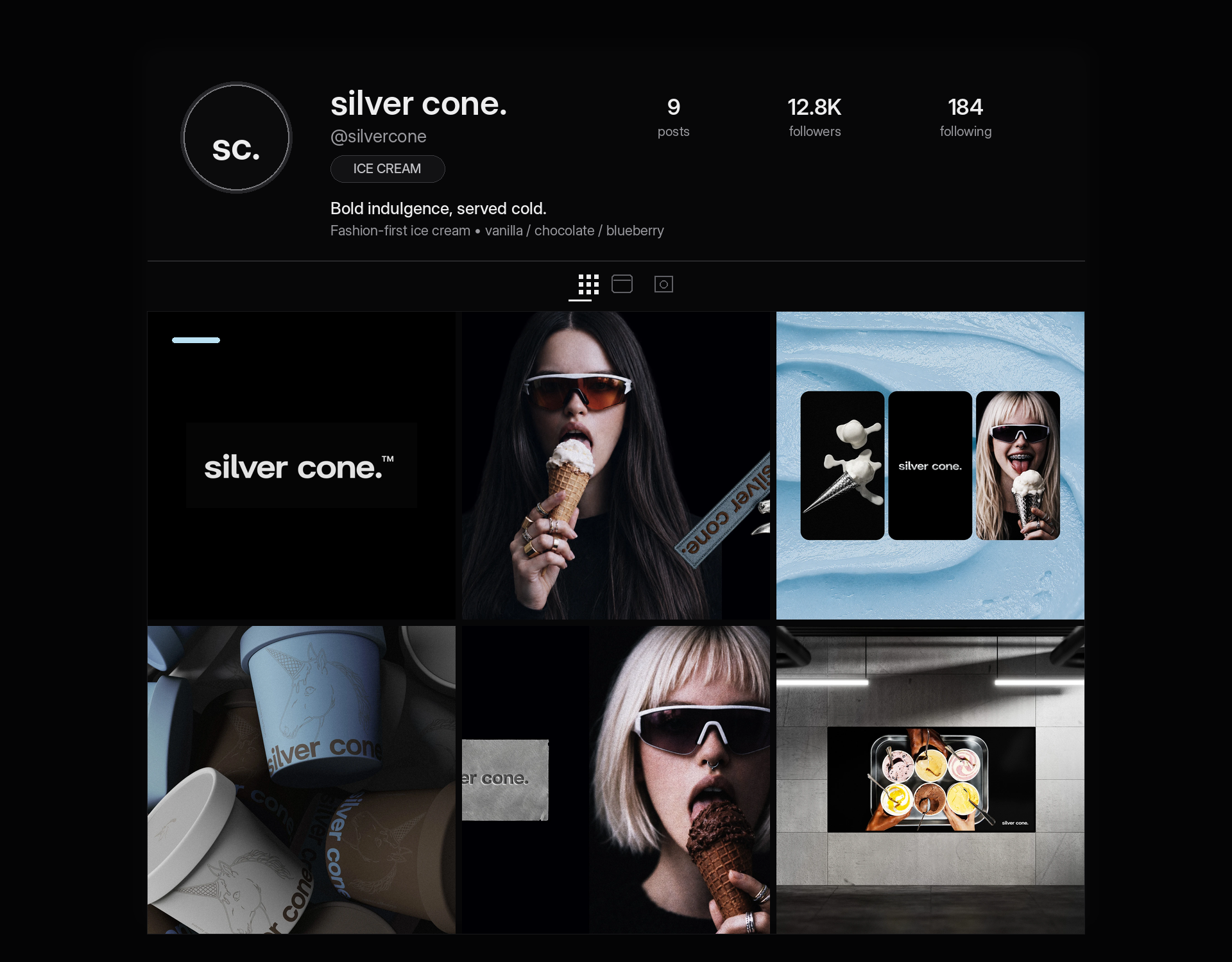 SILVER CONE — ICE CREAM BRAND SOCIAL GRID — Social media carousel